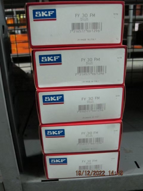 SKF Photo 113